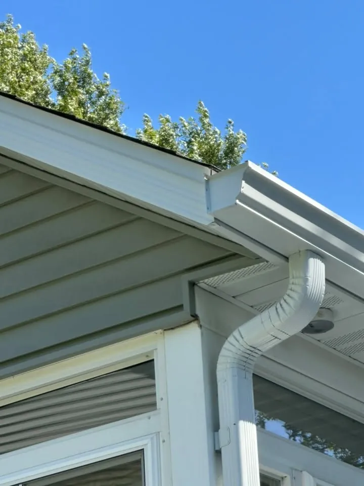 White gutter and downspout at the corner of a sage green sided home