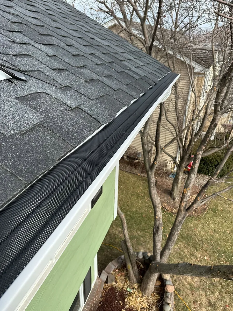 Black mesh gutter guard on a dark gutter above light green siding and a tree