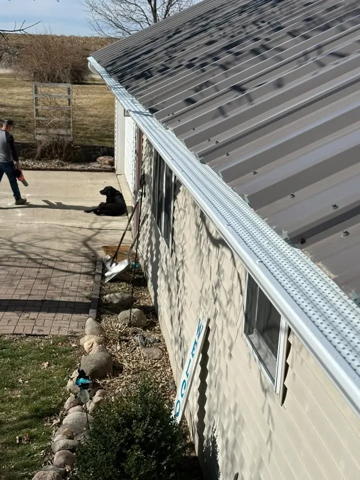Gutter guard installed along a metal roof edge while a black dog rests on the driveway below